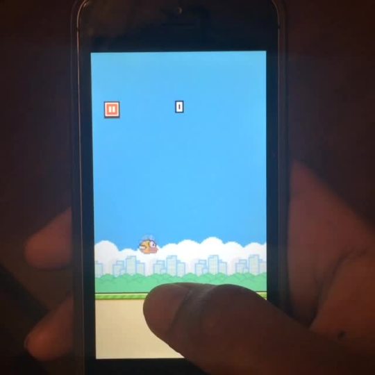 oh-sean:  Fucking flappy bird  porn pictures