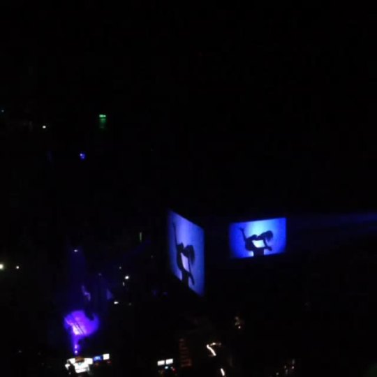 yoncehaunted:  YAAAASSSS BEY!!!!  
