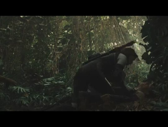 brookeeverdeen:  onesa-okami:  brookeeverdeen:  PEETA  Sorry I’m team gale lol
