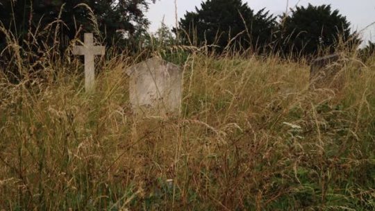 spookyloop: So many people see cemeteries as nothing but grim reminders of human