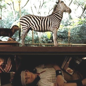 Museum of Natural History Announces First Adult-Only Sleepover