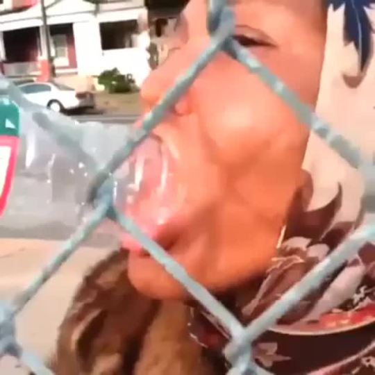 cocaineteas:  orgulla:  me  WILD. 