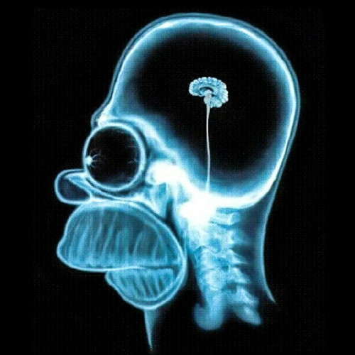 Mindmelter