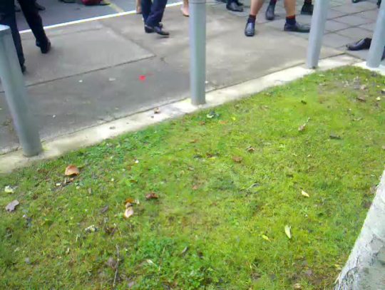 systlin:  deadcatwithaflamethrower:  saekokato:  prismatic-bell:   katyakora:  babeobaggins:  frankiemarx420:  Kelston Boys’ High School perform a massive haka in honour of the new Maori carving on campus  I live for this  This is the first recording