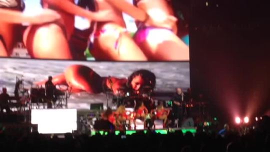 PITBULL LIVE!!