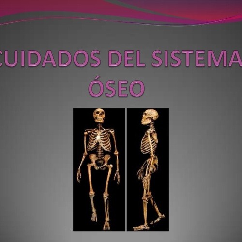 EL SISTEMA OSEO — MAPA CONCEPTUAL DEL SISTEMA ÓSEO