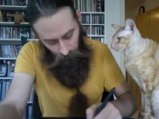 stitchedtogetherinapreservedjar: ciarachimera:  imaginationshow:  I get by with a little help(?) from my cat…  This is my cat every day when she wants attention haha 😅  Look at the Fluffy naked kitty. O.o 