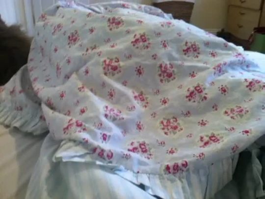 I found this strange lump in my blankets today&hellip;