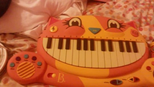 haughtyxhottie:  MY PARENTS GOT ME THIS BEAUTIFUL FUCKING CAT PIANO BUT I ONLY KNOW HOW TO PLAY ONE SONG 