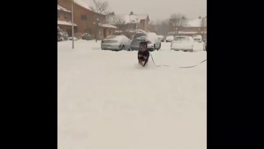 Lucifer loves the snow