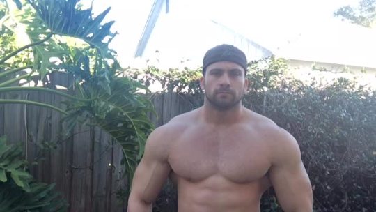everredytop:  darrynrichards:  Big Muscle King  Skype- drdeluxe2 Kik- starfox1220 Yahoo- invulnerabledr  Massive Muscle