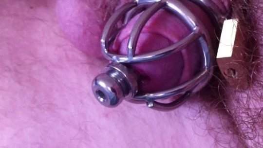 Trying to get used to utheral tube. Her clip me massaging prostrate you can see the
