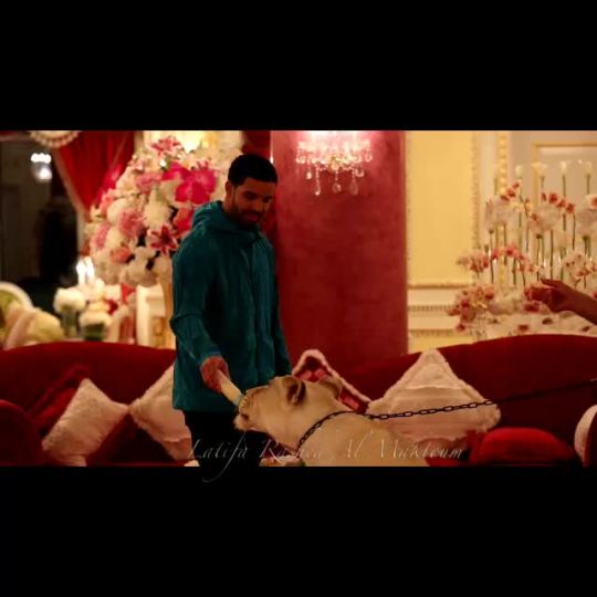 rabbbbssss:   @champagnepapi bottle feeding Beauty 🐯 papi