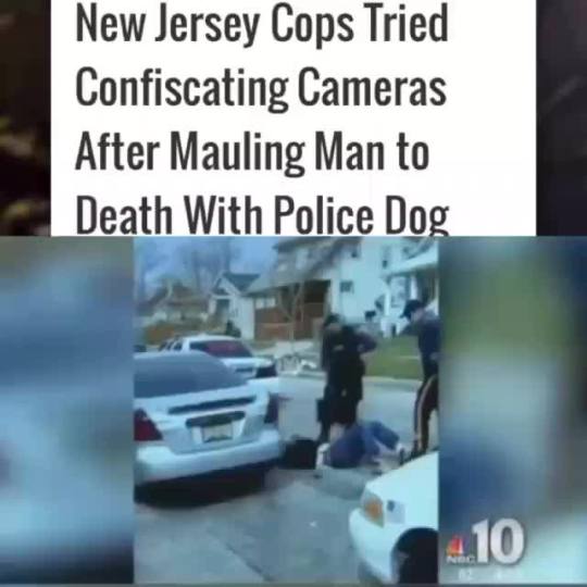 notfromheredude:   Never thought this would happen in my town but, in this video Phillip White died in the custody of the police in Vineland New Jersey after police beat him to the ground. The man was unconscious and in handcuffs when police let the K-9