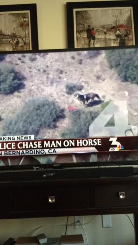 spookyram:  aaeds:  lillesnegl:  khromejio:  2saintt:  wow at first i thought this was gonna be a funny police chase video with a guy on a horse but its really one of the most disgusting videos i’ve seen  SPREAD THIS SHIT LIKE WILDFIRE.  what the fuck