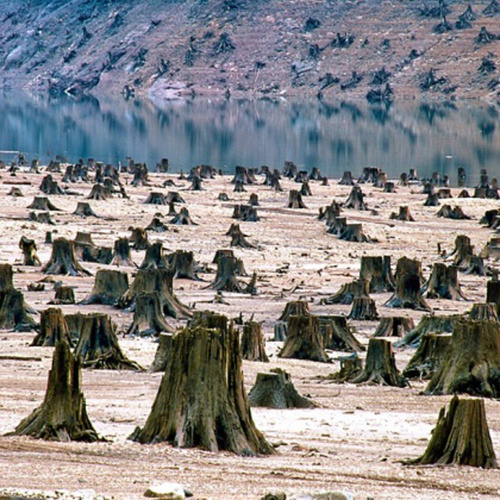 Brilliant Photos Capture the Impact of Overpopulation and Overconsumption