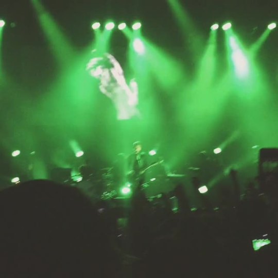 Interpol got me feeling some type of way 💚