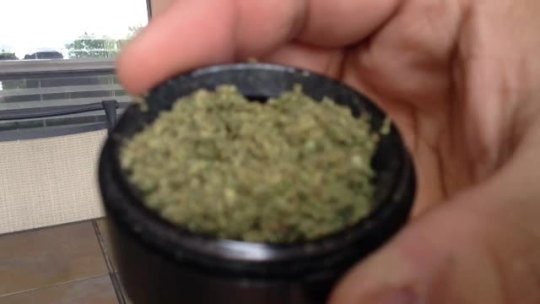 burninggreen:  packthat-bowl:  whospilledthebongwater:  burninggreen:  Fucking gone goodbye haha  Omg  Niiiiice  This one killed me xD  CHAMP RIP