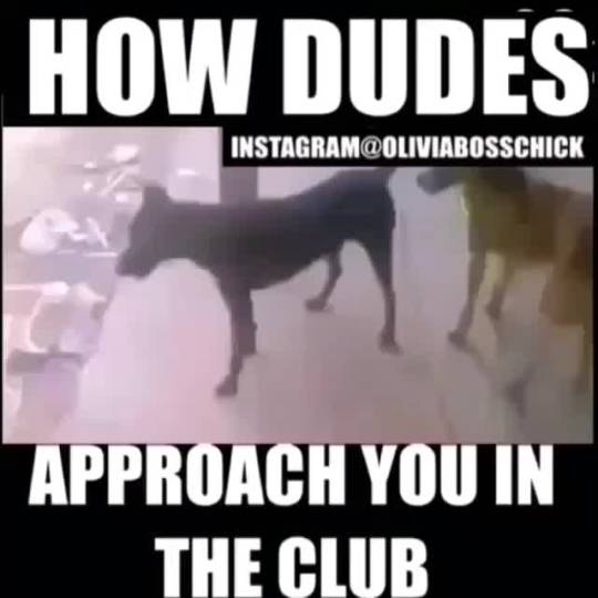 starslicer:  nawyougood:  :[[[[[[[[[[[[[[[[[[[[[[[[[[[[  ghhshghhgdf  😂😂😂😂😂😂😂😂😂
