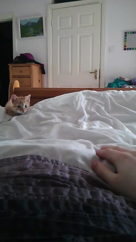 mightyfinevalkorian:  He moves only when I move 😅😅😅  