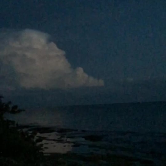 pixeledthoughts:  Caught this tonight in Florida while on vacation!