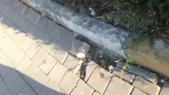 selocan53:  Buna bittim istedim olmaz dedi seninki kalın 😡😕   muhteşem kalçaa