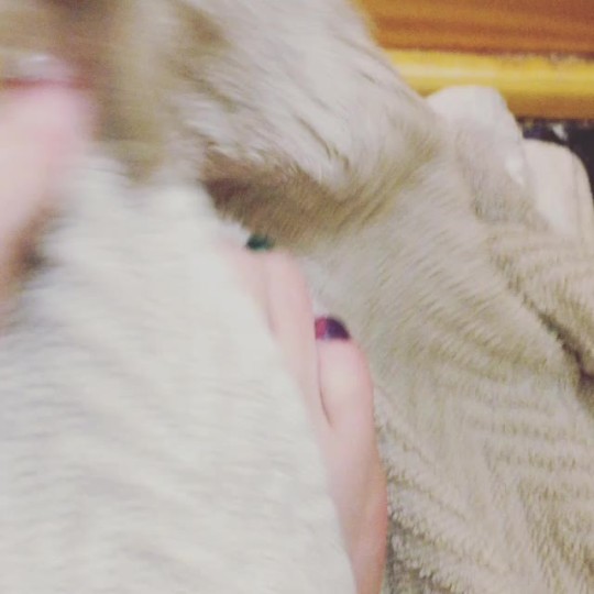 sarahsfeet:  A little test video! What do you all think? :)