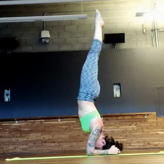 yoga-teacher-youneekornzy:  Woohoo! Getting better at pressing up from headstand to forearmstand! 💪🙌✌️ Playing around between classes today at @yttpaz #temperising #headstand #forearmstand by adrianlovesowls https://instagram.com/p/3sb7w2RkEG/