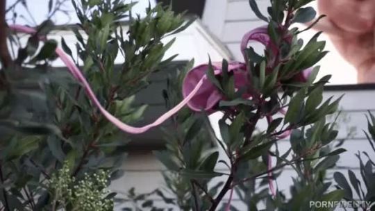 rebelalicexo:  Sometimes you just want to let the world (and your neighbors) know