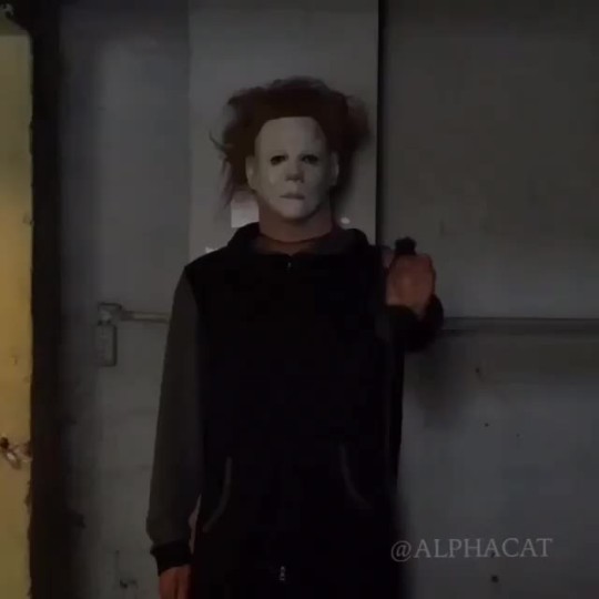 destinedivgreatness:  chiefsimba:  56blogscrazy:  I would piss myself watching this
