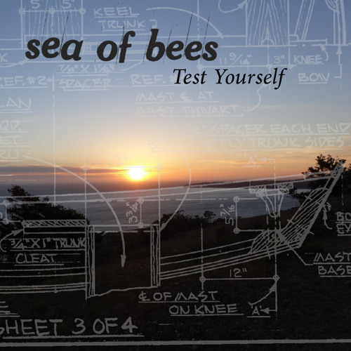 test yourself on tumblr