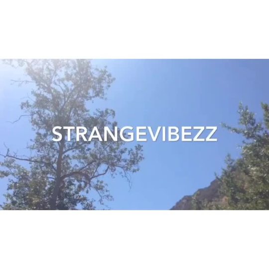 Sex strangevibezz:  📷 braincluster MALIBU pictures