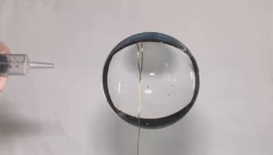 trigonometry-is-my-bitch:  Air is shot at this sphere of water in Zero Gravity, showing