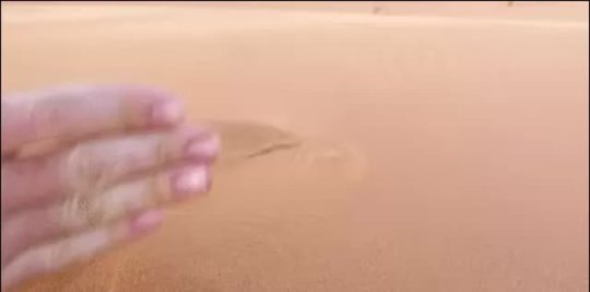 Porn theinturnetexplorer:  Sand in the Sahara photos