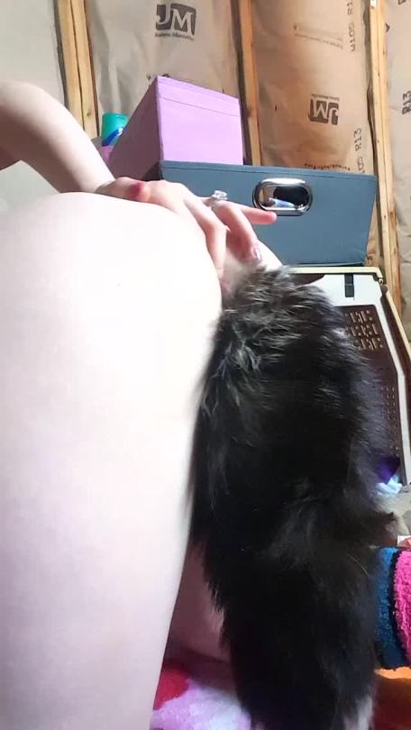 daddysfreakygirl:  Wiggling my cute little kitten buns at daddy~
