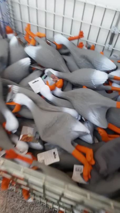 Porn photo hijerking:    Duck army (x)   