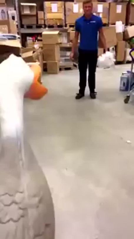 kittehnothappy:  thebestoftumbling:  another duck soldier lost in their relentless