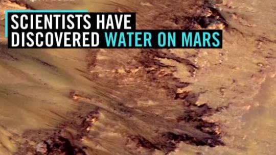 discoverynews:  Scientists Discovered Water On Mars!Earlier today, September 28,