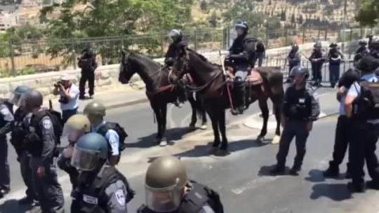 istanbulsevdalisi:  menzillisofiye:  from-palestine:  يا الله.  Bakın bu meydan okumanın en güzelidir.   güçlü ve sarsılmaz iman