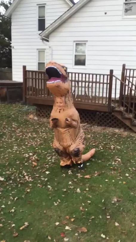 lucknoww:  n0pu55y4u:  weloveshortvideos:  Idk what’s funnier, my uncle’s laugh or my cousins T. rex costume  I’m done lmaooo  oh man  