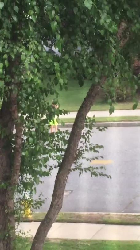 godpenis:  can someone caption this@captioned-vines