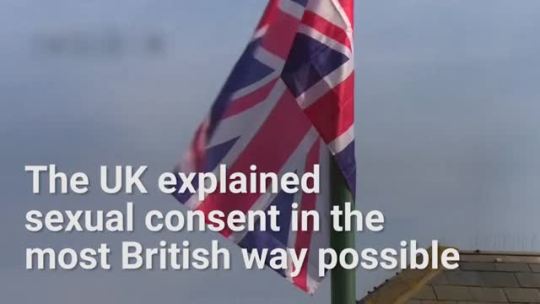 totallyimportantcolor:   alistair-theirins:  littleleofitz:  nothingbutthedreams:  diggo26:  aussieforgood:  geniewithwifi:    INSIDER:The UK explained sexual consent in the most British way possible.    THIS IS AWESOME….and hilarious. Is it wrong that