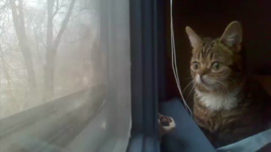 bublog:  Yesterday BUB’s lil dude (my son) saw snow for the first time, and it