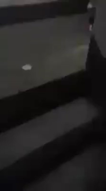bronxharlemqueensfuck:  my boy fucking some shorty in the project roof steps