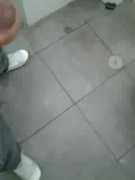ziglez