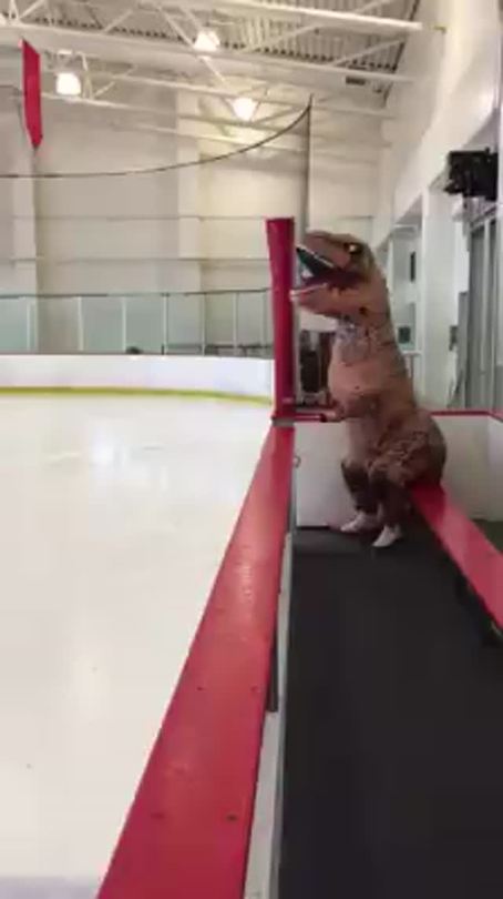 liamdryden:  fuckyeahbeasmith:  lifteatmaul:  PSA the ppl who do these vids are from Minnesota  This is too ridiculous not to reblog. 1) the music2) how does the person in there even see?3) also skating over its own tail4) how is NO ONE on the ice fazed