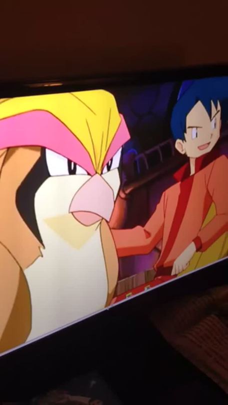 rochejii:  My friend getting riled up over Pokémon 
