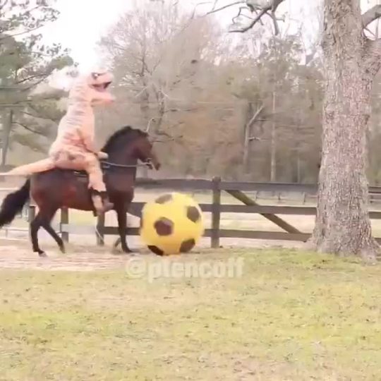 my-wanton-self:  bunnyfood:  Current Mood: Dinosaur Riding a Horse Playing Soccer  Strangely - mine, too.