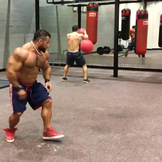 bbroidbelly:  timovdrow:  muscle-roids-y-bears:  OMG huge!!!!  Like silly pig puppies   Seems a bit slow :-)