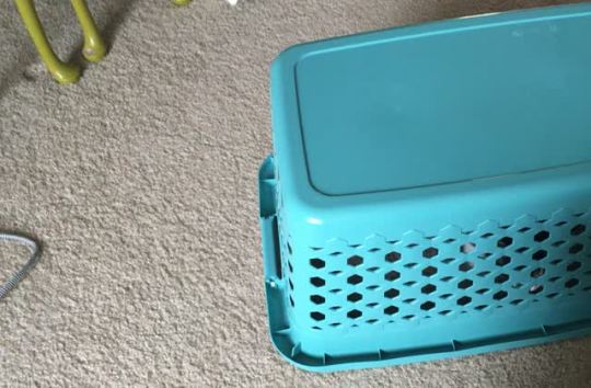 yodelmachine:  My laundry basket is self-loading. 